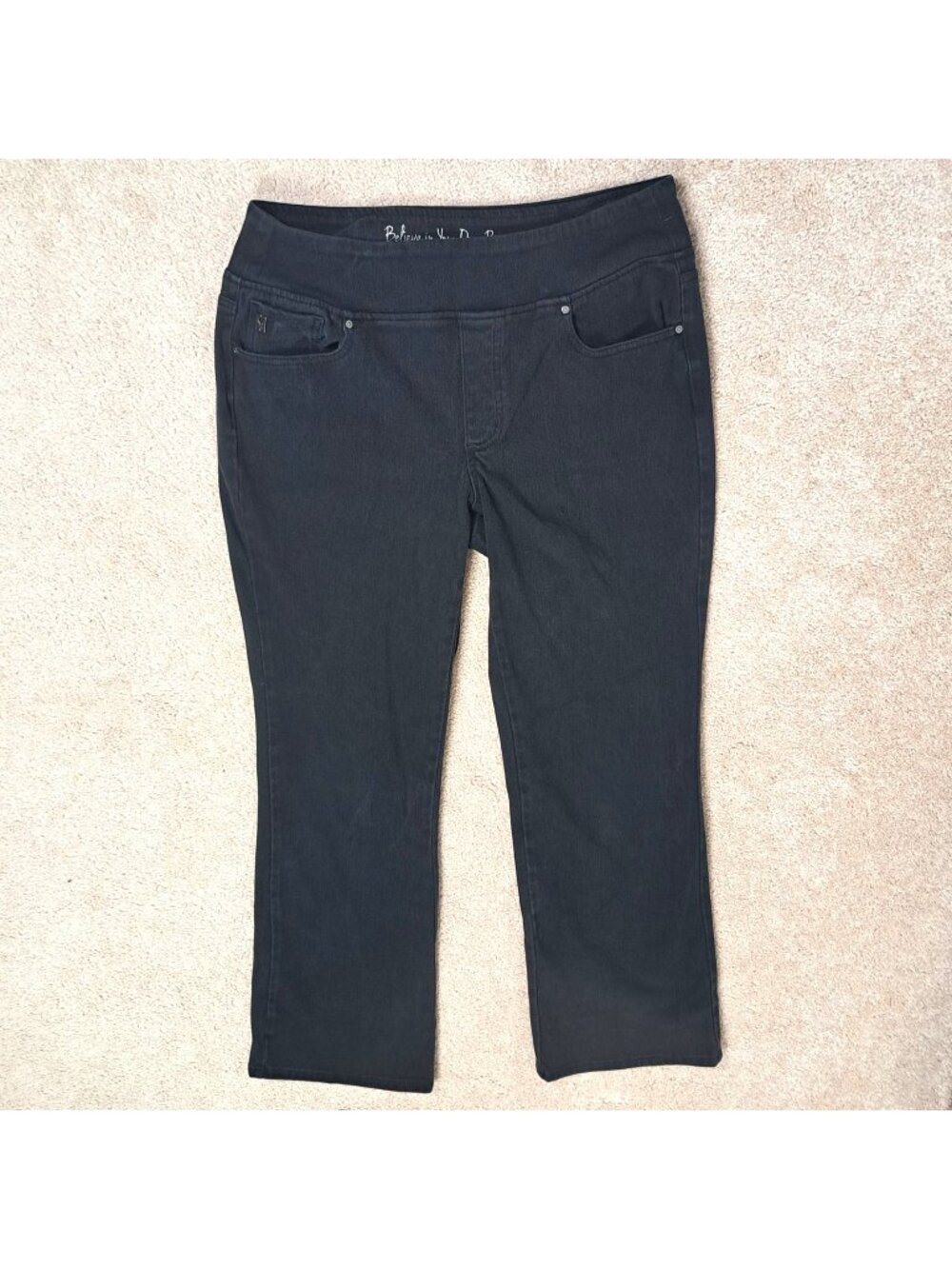 Belle Kim Gravel Size 16 Black Straight Leg Pants Stretch Casual